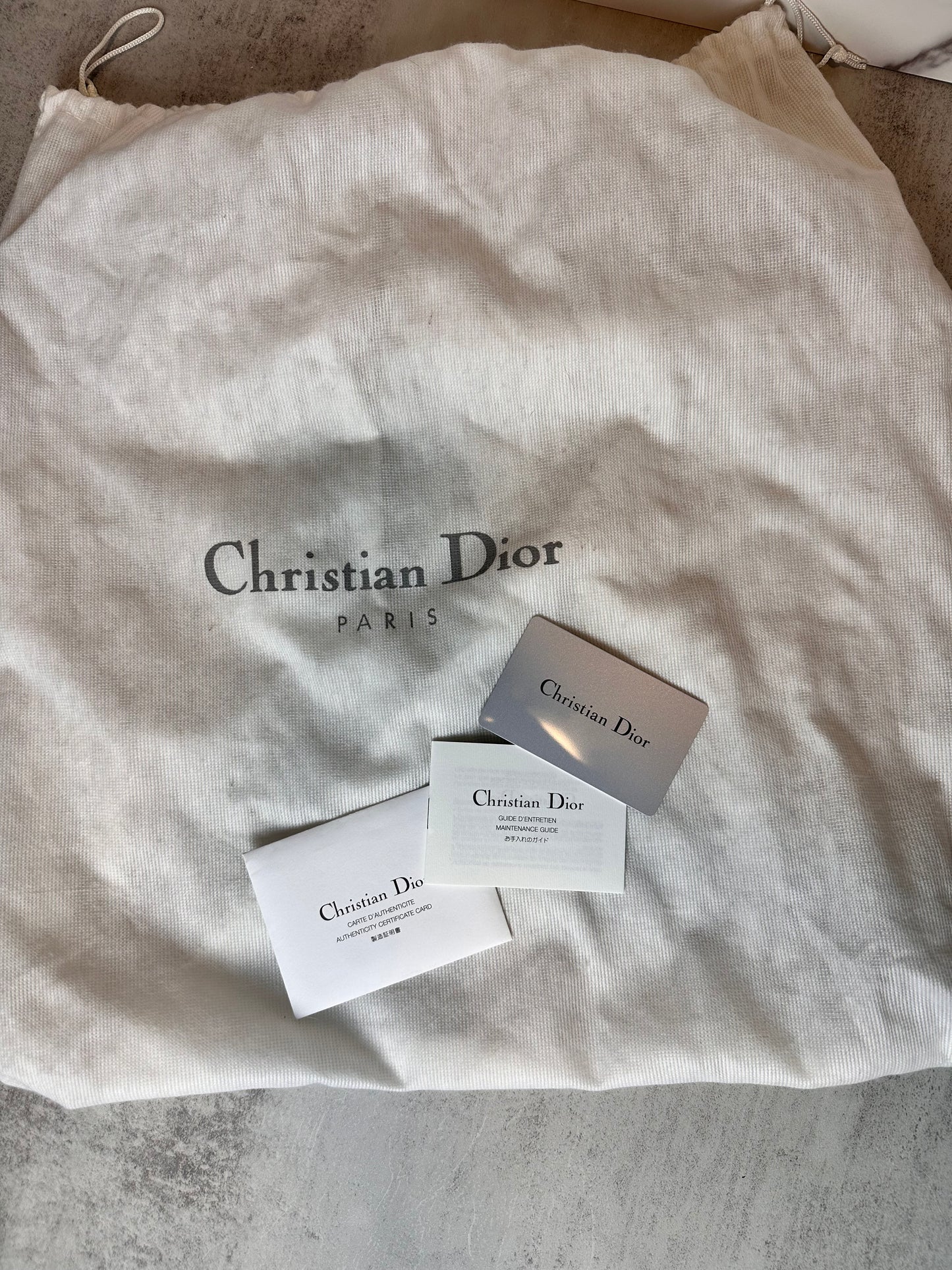 Christian Dior Denim Floral Detective Bag