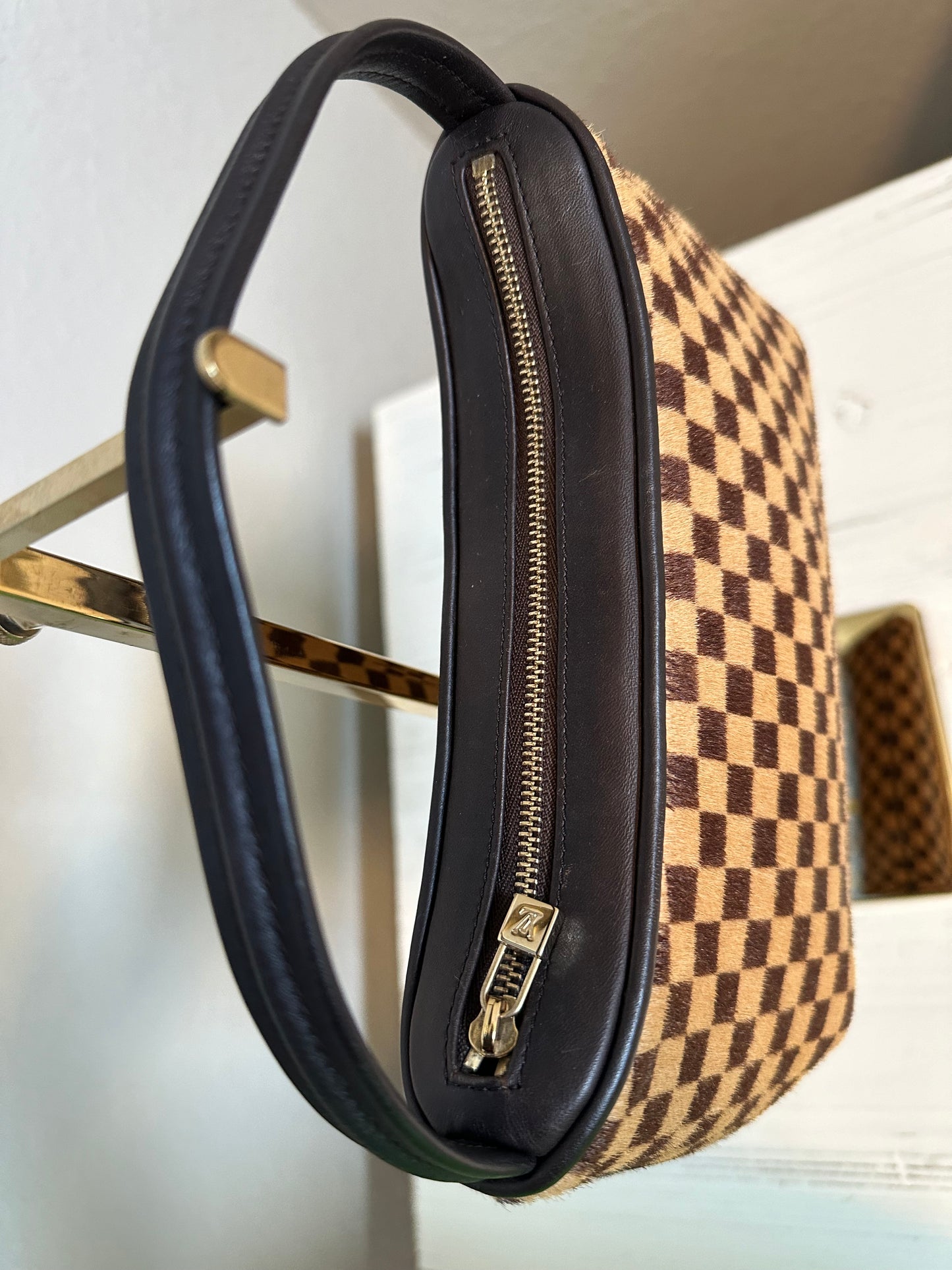 Louis Vuitton Damier Sauvage Tiger Handbag