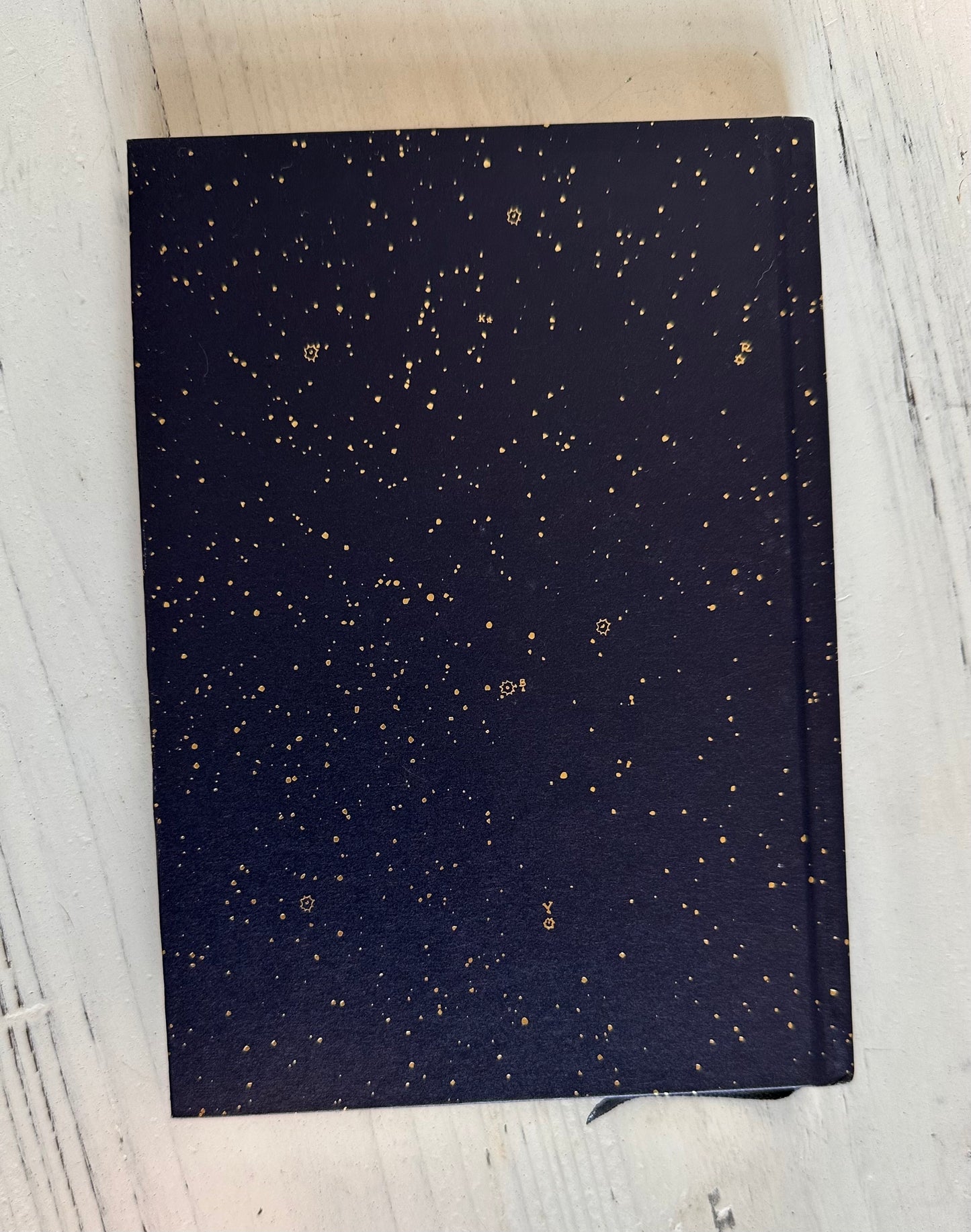 Dior Notebook